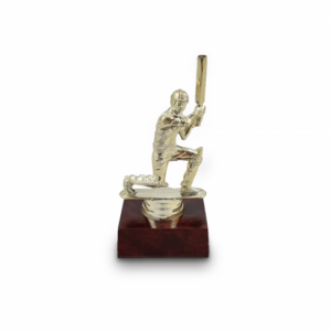 Cricket Figurine Trophy