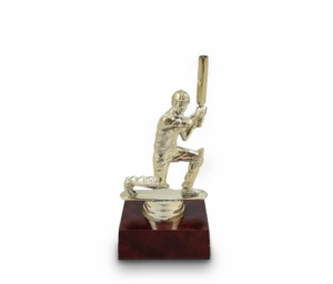 Cricket batsman trophy mayer-and-toye-cricket-trophy