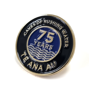 Tourist Attraction Lapel Pin