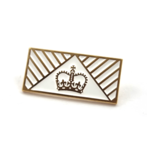 Government COVID-19 Response Recognition Pin